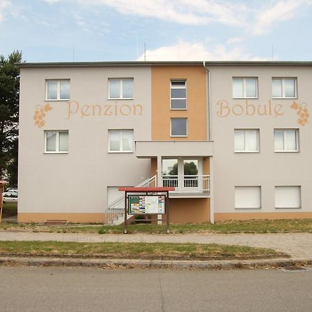Penzion Bobule Stare Mesto  Exteriör bild