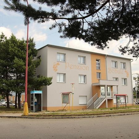Penzion Bobule Stare Mesto  Exteriör bild