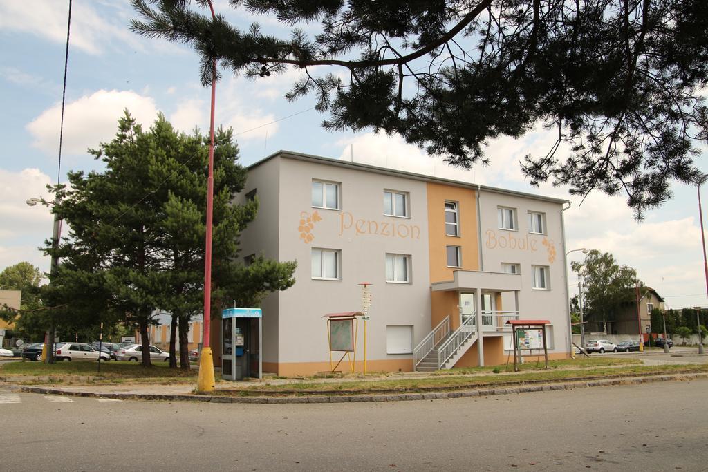 Penzion Bobule Stare Mesto  Exteriör bild